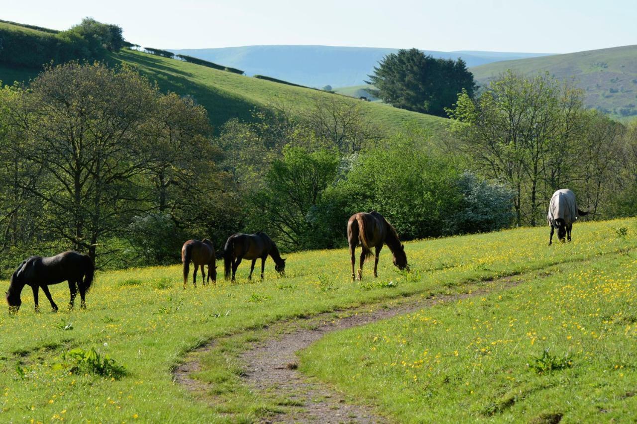Apartamento Snug Oak Hut With A View On A Welsh Hill Farm Brecon Exterior foto